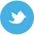 Twitter icon